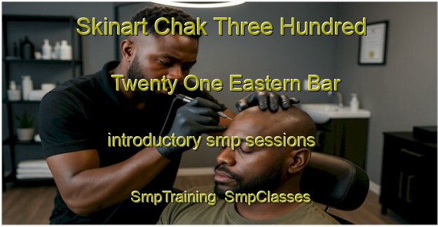 Skinart Chak Three Hundred Twenty One Eastern Bar introductory smp sessions | SmpTraining | SmpClasses | SkinartTraining-Pakistan
