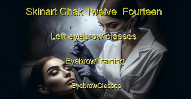 Skinart Chak Twelve  Fourteen Left eyebrow classes | EyebrowTraining | EyebrowClasses | SkinartTraining-Pakistan