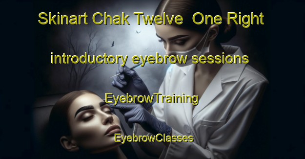 Skinart Chak Twelve  One Right introductory eyebrow sessions | EyebrowTraining | EyebrowClasses | SkinartTraining-Pakistan