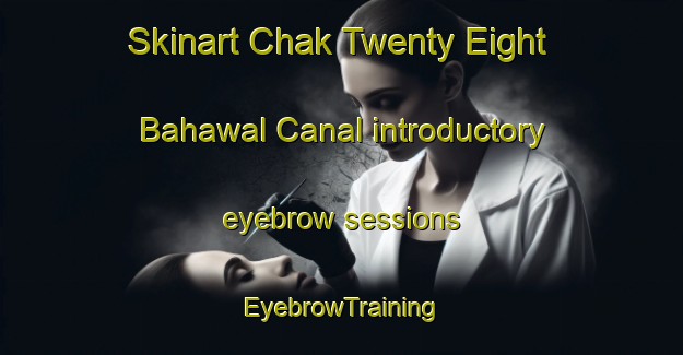 Skinart Chak Twenty Eight Bahawal Canal introductory eyebrow sessions | EyebrowTraining | EyebrowClasses | SkinartTraining-Pakistan
