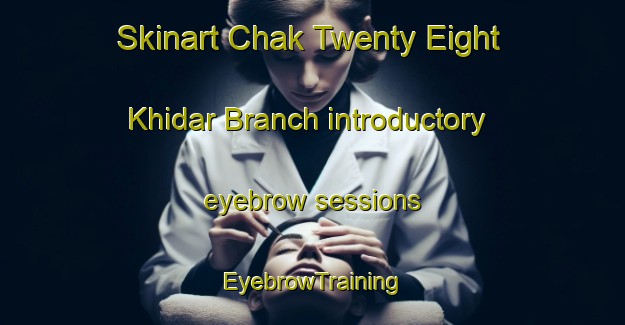 Skinart Chak Twenty Eight Khidar Branch introductory eyebrow sessions | EyebrowTraining | EyebrowClasses | SkinartTraining-Pakistan