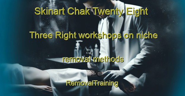 Skinart Chak Twenty Eight Three Right workshops on niche removal methods | RemovalTraining | RemovalClasses | SkinartTraining-Pakistan