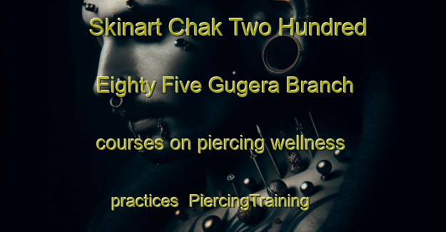 Skinart Chak Two Hundred Eighty Five Gugera Branch courses on piercing wellness practices | PiercingTraining | PiercingClasses | SkinartTraining-Pakistan