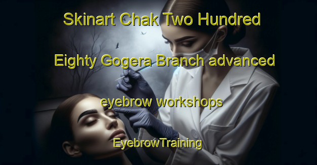 Skinart Chak Two Hundred Eighty Gogera Branch advanced eyebrow workshops | EyebrowTraining | EyebrowClasses | SkinartTraining-Pakistan
