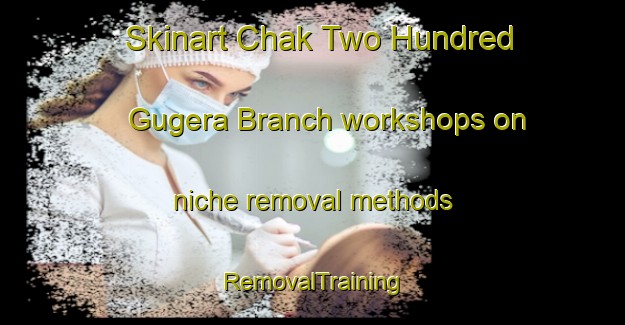 Skinart Chak Two Hundred Gugera Branch workshops on niche removal methods | RemovalTraining | RemovalClasses | SkinartTraining-Pakistan
