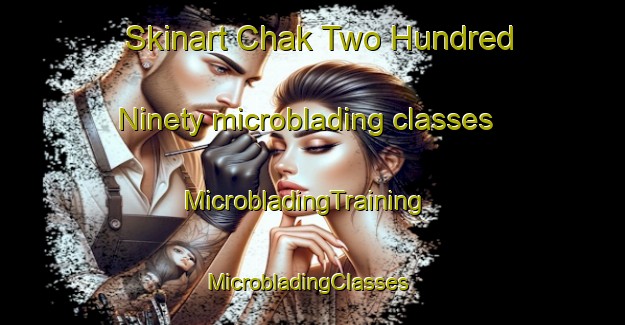 Skinart Chak Two Hundred Ninety microblading classes | MicrobladingTraining | MicrobladingClasses | SkinartTraining-Pakistan