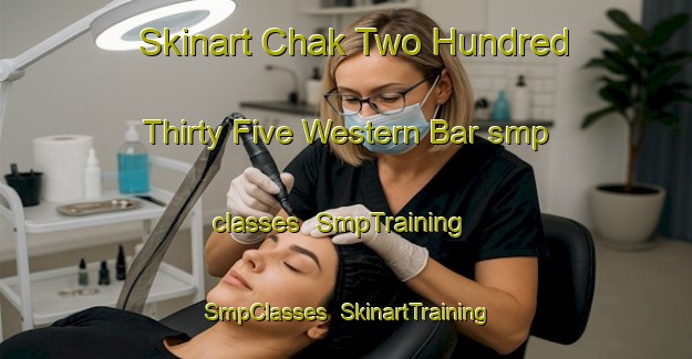 Skinart Chak Two Hundred Thirty Five Western Bar smp classes | SmpTraining | SmpClasses | SkinartTraining-Pakistan