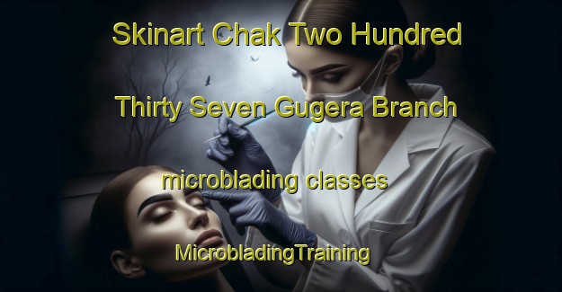 Skinart Chak Two Hundred Thirty Seven Gugera Branch microblading classes | MicrobladingTraining | MicrobladingClasses | SkinartTraining-Pakistan