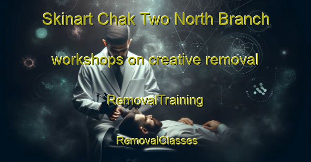 Skinart Chak Two North Branch workshops on creative removal | RemovalTraining | RemovalClasses | SkinartTraining-Pakistan