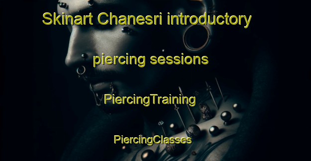 Skinart Chanesri introductory piercing sessions | PiercingTraining | PiercingClasses | SkinartTraining-Pakistan