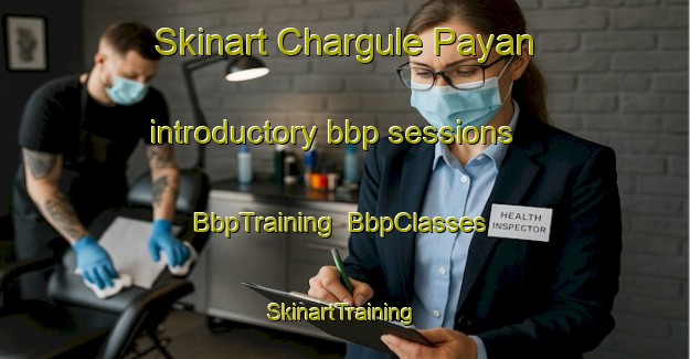 Skinart Chargule Payan introductory bbp sessions | BbpTraining | BbpClasses | SkinartTraining-Pakistan