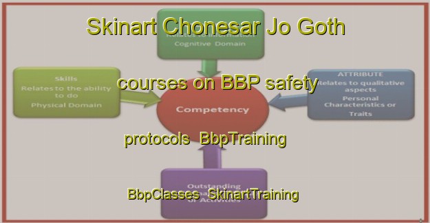 Skinart Chonesar Jo Goth courses on BBP safety protocols | BbpTraining | BbpClasses | SkinartTraining-Pakistan