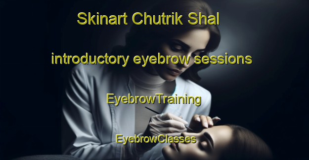 Skinart Chutrik Shal introductory eyebrow sessions | EyebrowTraining | EyebrowClasses | SkinartTraining-Pakistan