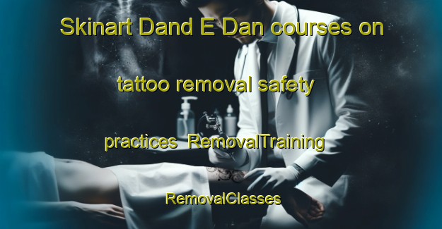 Skinart Dand E Dan courses on tattoo removal safety practices | RemovalTraining | RemovalClasses | SkinartTraining-Pakistan