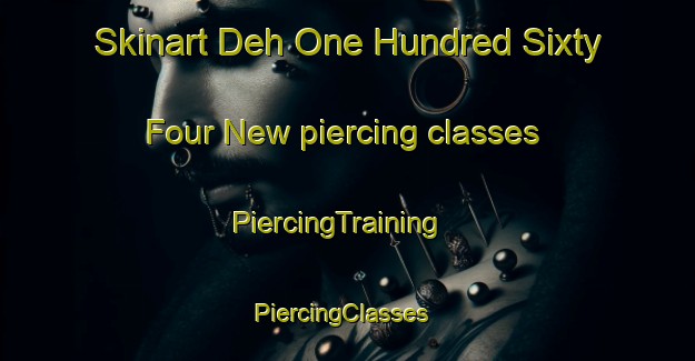Skinart Deh One Hundred Sixty Four New piercing classes | PiercingTraining | PiercingClasses | SkinartTraining-Pakistan