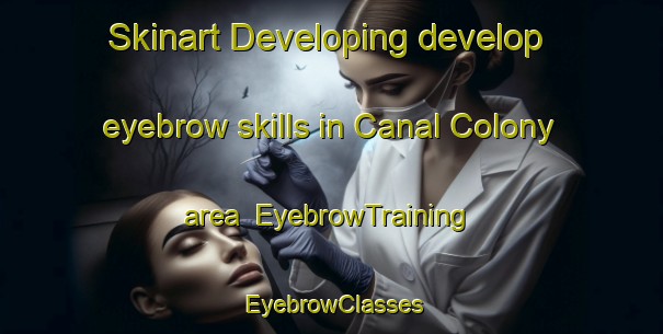 Skinart Developing develop eyebrow skills in Canal Colony area | EyebrowTraining | EyebrowClasses | SkinartTraining-Pakistan