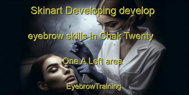 Skinart Developing develop eyebrow skills in Chak Twenty  One A Left area | EyebrowTraining | EyebrowClasses | SkinartTraining-Pakistan