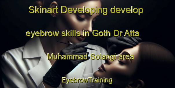 Skinart Developing develop eyebrow skills in Goth Dr Atta Muhammad Solangi area | EyebrowTraining | EyebrowClasses | SkinartTraining-Pakistan