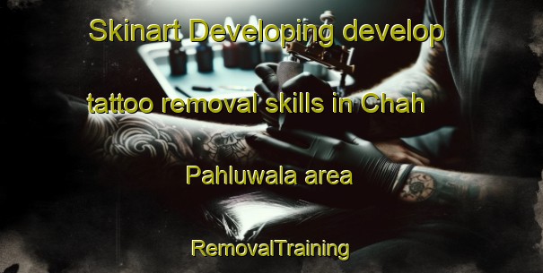 Skinart Developing develop tattoo removal skills in Chah Pahluwala area | RemovalTraining | RemovalClasses | SkinartTraining-Pakistan
