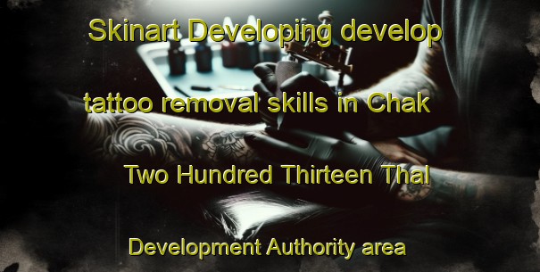 Skinart Developing develop tattoo removal skills in Chak Two Hundred Thirteen Thal Development Authority area | RemovalTraining | RemovalClasses | SkinartTraining-Pakistan