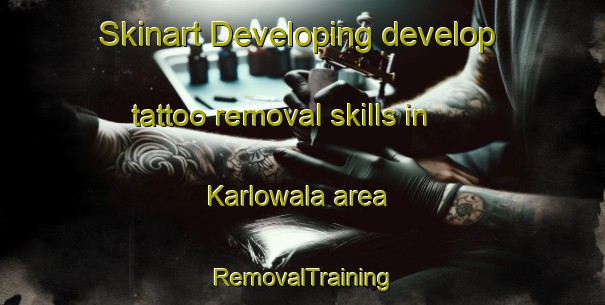 Skinart Developing develop tattoo removal skills in Karlowala area | RemovalTraining | RemovalClasses | SkinartTraining-Pakistan