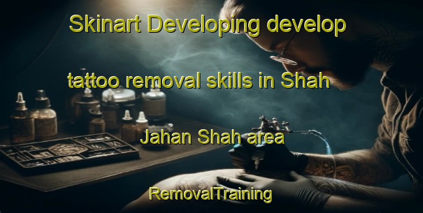 Skinart Developing develop tattoo removal skills in Shah Jahan Shah area | RemovalTraining | RemovalClasses | SkinartTraining-Pakistan