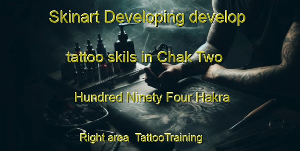Skinart Developing develop tattoo skils in Chak Two Hundred Ninety Four Hakra Right area | TattooTraining | TattooClasses | SkinartTraining-Pakistan