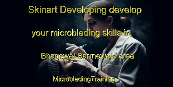 Skinart Developing develop your microblading skills in Bhagewal Barrnewala area | MicrobladingTraining | MicrobladingClasses | SkinartTraining-Pakistan