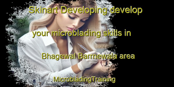 Skinart Developing develop your microblading skills in Bhagewal Barrnewala area | MicrobladingTraining | MicrobladingClasses | SkinartTraining-Pakistan