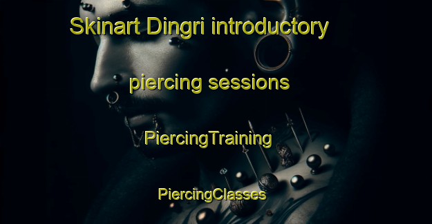 Skinart Dingri introductory piercing sessions | PiercingTraining | PiercingClasses | SkinartTraining-Pakistan