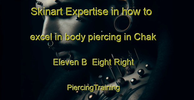 Skinart Expertise in how to excel in body piercing in Chak Eleven B  Eight Right | PiercingTraining | PiercingClasses | SkinartTraining-Pakistan
