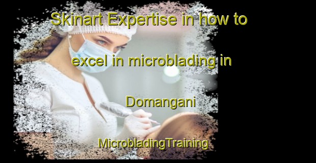 Skinart Expertise in how to excel in microblading in Domangani | MicrobladingTraining | MicrobladingClasses | SkinartTraining-Pakistan