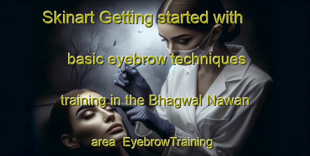 Skinart Getting started with basic eyebrow techniques training in the Bhagwal Nawan area | EyebrowTraining | EyebrowClasses | SkinartTraining-Pakistan