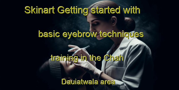 Skinart Getting started with basic eyebrow techniques training in the Chah Dauiatwala area | EyebrowTraining | EyebrowClasses | SkinartTraining-Pakistan