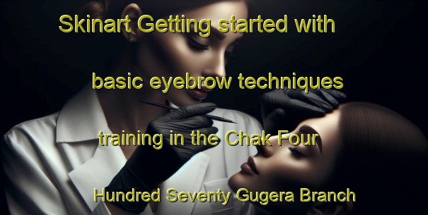 Skinart Getting started with basic eyebrow techniques training in the Chak Four Hundred Seventy Gugera Branch area | EyebrowTraining | EyebrowClasses | SkinartTraining-Pakistan