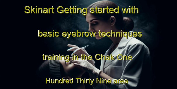 Skinart Getting started with basic eyebrow techniques training in the Chak One Hundred Thirty Nine area | EyebrowTraining | EyebrowClasses | SkinartTraining-Pakistan