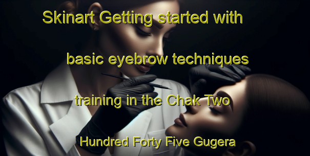 Skinart Getting started with basic eyebrow techniques training in the Chak Two Hundred Forty Five Gugera Branch area | EyebrowTraining | EyebrowClasses | SkinartTraining-Pakistan