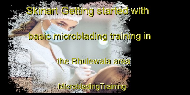 Skinart Getting started with basic microblading training in the Bhulewala area | MicrobladingTraining | MicrobladingClasses | SkinartTraining-Pakistan