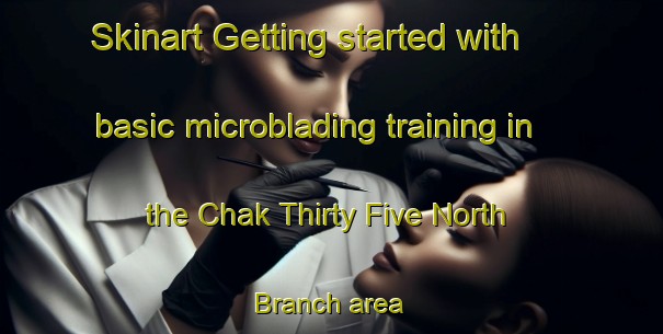 Skinart Getting started with basic microblading training in the Chak Thirty Five North Branch area | MicrobladingTraining | MicrobladingClasses | SkinartTraining-Pakistan