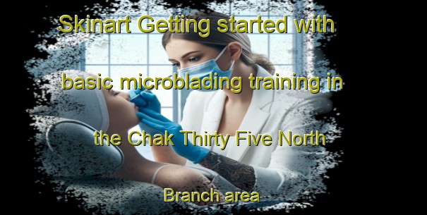 Skinart Getting started with basic microblading training in the Chak Thirty Five North Branch area | MicrobladingTraining | MicrobladingClasses | SkinartTraining-Pakistan