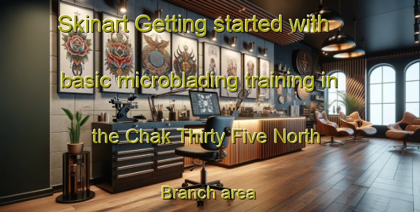 Skinart Getting started with basic microblading training in the Chak Thirty Five North Branch area | MicrobladingTraining | MicrobladingClasses | SkinartTraining-Pakistan