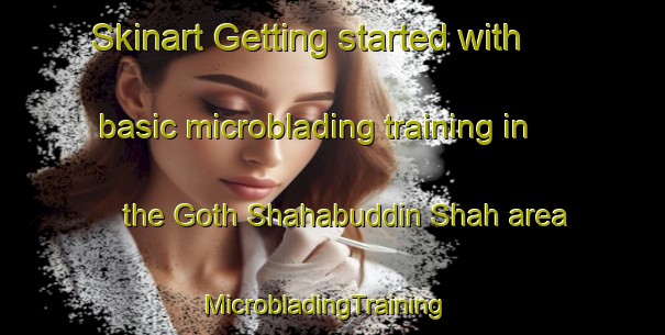Skinart Getting started with basic microblading training in the Goth Shahabuddin Shah area | MicrobladingTraining | MicrobladingClasses | SkinartTraining-Pakistan