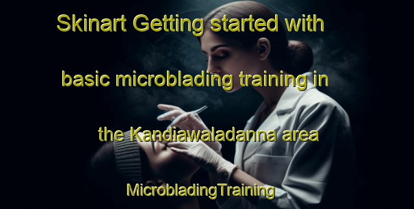 Skinart Getting started with basic microblading training in the Kandiawaladanna area | MicrobladingTraining | MicrobladingClasses | SkinartTraining-Pakistan