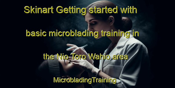 Skinart Getting started with basic microblading training in the Nio Toro Wahio area | MicrobladingTraining | MicrobladingClasses | SkinartTraining-Pakistan