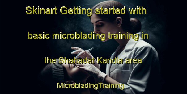 Skinart Getting started with basic microblading training in the Shahadat Kandla area | MicrobladingTraining | MicrobladingClasses | SkinartTraining-Pakistan