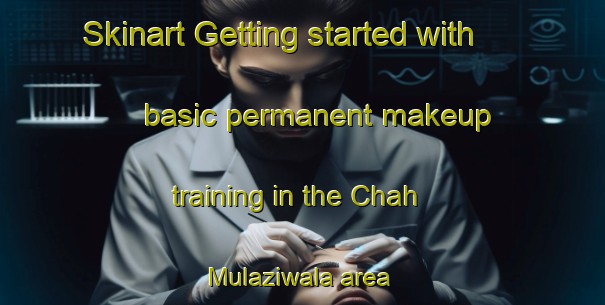 Skinart Getting started with basic permanent makeup training in the Chah Mulaziwala area | PermanentmakeupTraining | PermanentmakeupClasses | SkinartTraining-Pakistan