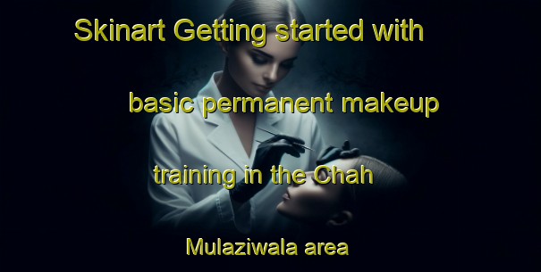 Skinart Getting started with basic permanent makeup training in the Chah Mulaziwala area | PermanentmakeupTraining | PermanentmakeupClasses | SkinartTraining-Pakistan