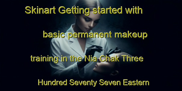 Skinart Getting started with basic permanent makeup training in the Nia Chak Three Hundred Seventy Seven Eastern Bar area | PermanentmakeupTraining | PermanentmakeupClasses | SkinartTraining-Pakistan