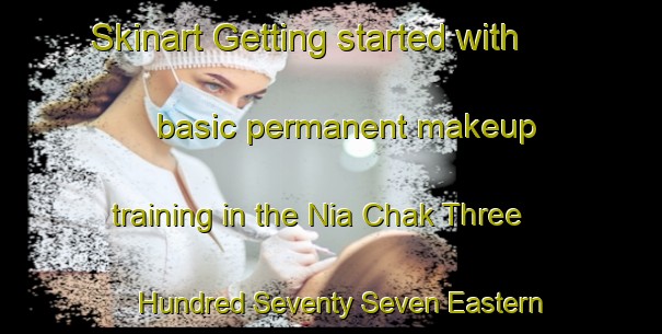 Skinart Getting started with basic permanent makeup training in the Nia Chak Three Hundred Seventy Seven Eastern Bar area | PermanentmakeupTraining | PermanentmakeupClasses | SkinartTraining-Pakistan