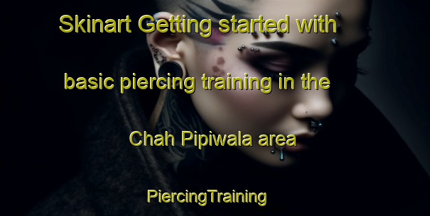 Skinart Getting started with basic piercing training in the Chah Pipiwala area | PiercingTraining | PiercingClasses | SkinartTraining-Pakistan